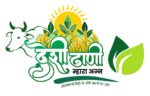 desidhani.co